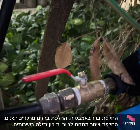 שסתום מים עם ידית אדומה בצמחייה